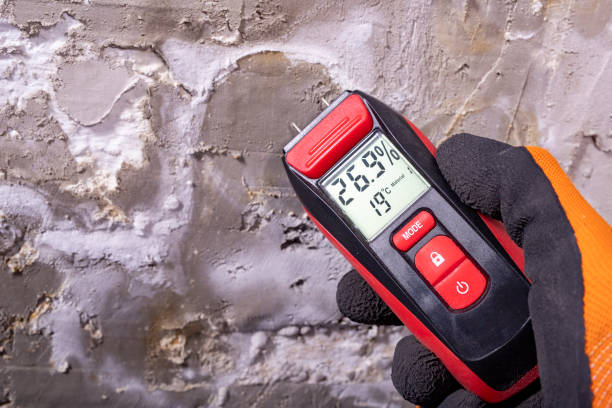 Best Basement Mold Remediation in Valley Park, MO
